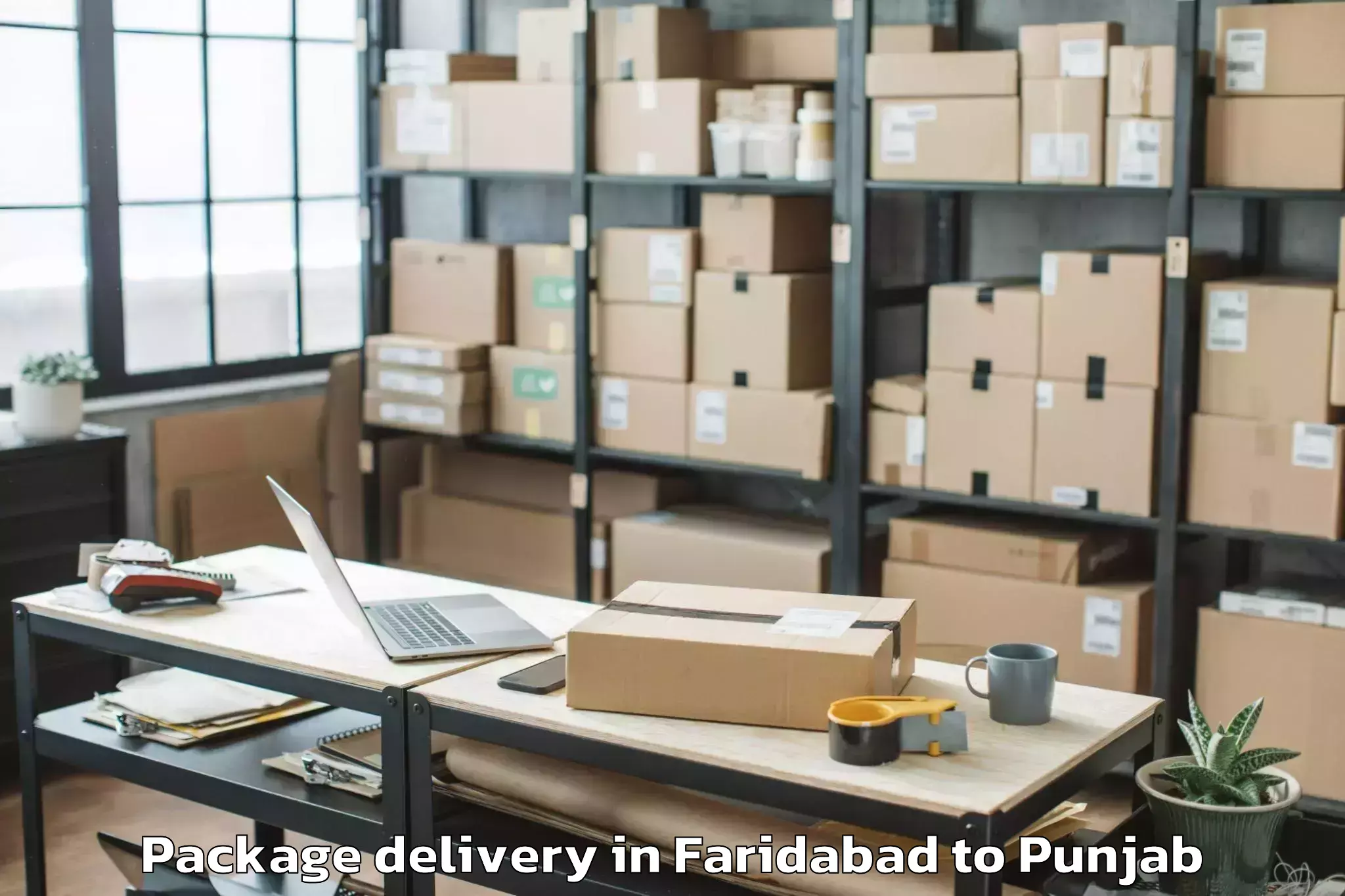 Book Faridabad to Siswan Package Delivery